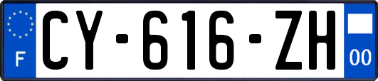 CY-616-ZH
