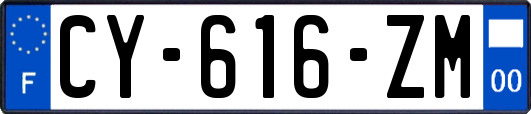 CY-616-ZM