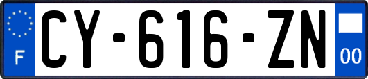 CY-616-ZN