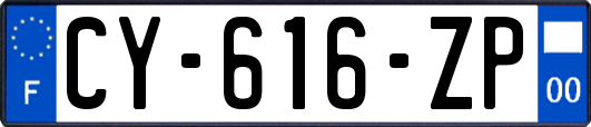 CY-616-ZP