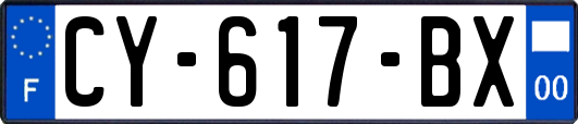 CY-617-BX