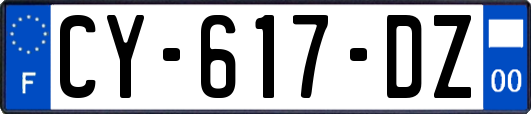 CY-617-DZ