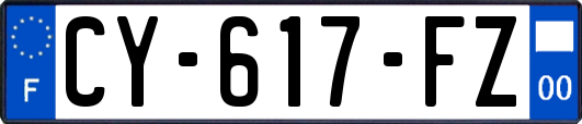 CY-617-FZ