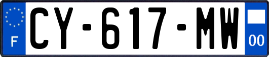 CY-617-MW