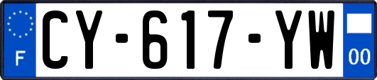 CY-617-YW