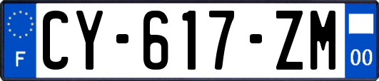 CY-617-ZM