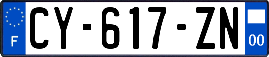 CY-617-ZN