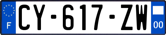 CY-617-ZW