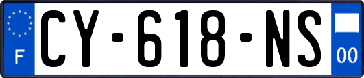 CY-618-NS