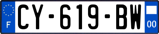 CY-619-BW