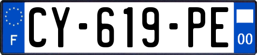 CY-619-PE