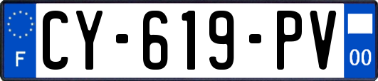 CY-619-PV