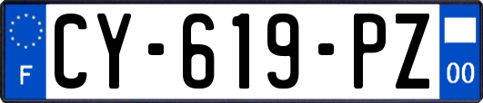 CY-619-PZ