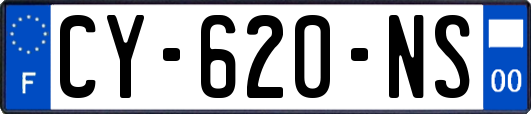 CY-620-NS