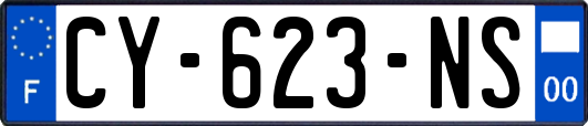 CY-623-NS