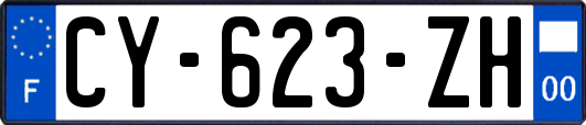 CY-623-ZH