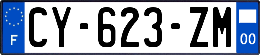 CY-623-ZM