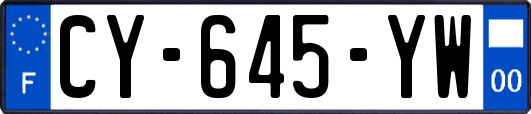 CY-645-YW