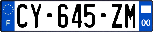 CY-645-ZM