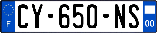 CY-650-NS