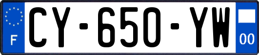 CY-650-YW