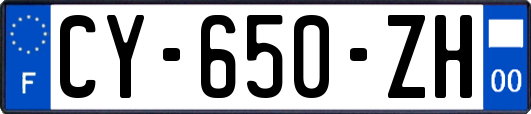 CY-650-ZH