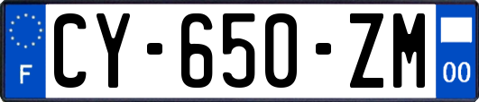 CY-650-ZM