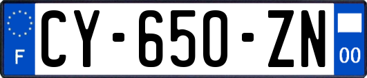 CY-650-ZN