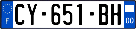 CY-651-BH