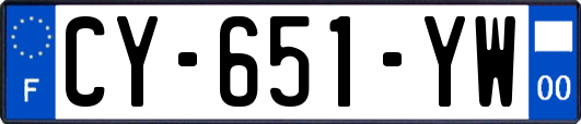 CY-651-YW