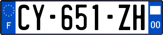 CY-651-ZH