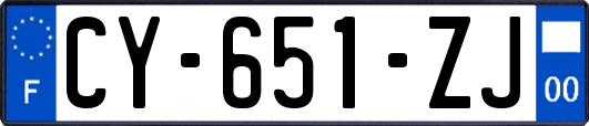 CY-651-ZJ