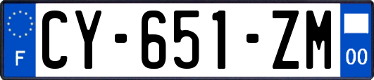 CY-651-ZM