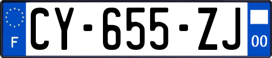 CY-655-ZJ