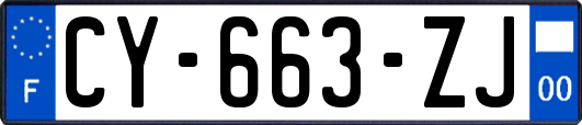 CY-663-ZJ
