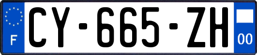 CY-665-ZH