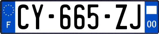 CY-665-ZJ