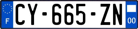 CY-665-ZN