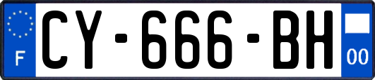 CY-666-BH