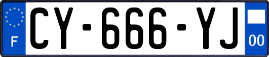 CY-666-YJ
