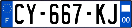 CY-667-KJ