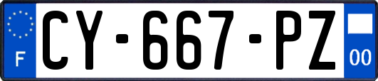 CY-667-PZ