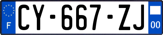 CY-667-ZJ