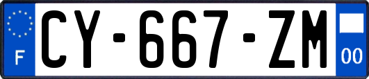 CY-667-ZM
