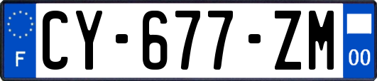 CY-677-ZM
