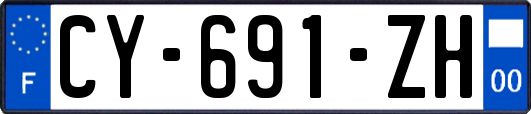 CY-691-ZH
