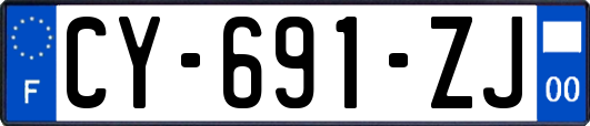 CY-691-ZJ