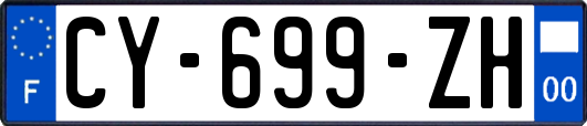 CY-699-ZH