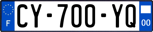 CY-700-YQ