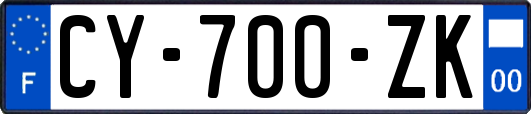 CY-700-ZK